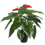 Kunstlilled vaasis, flamingolill Home4you Anthurium, punane v./roheline v., 45 cm