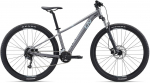 Jalgratas m&auml;gi- Liv Tempt 2, 29 ", M raam, hall v.