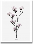 Pilt Wallity, 3040mdfciz-010, 30 cm x 40 cm