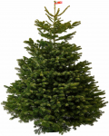 Nulg Christmas Touch Normaniana Excellent, 200 - 225 cm