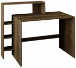 Kirjutuslaud ja riiul Kalune Design Amber 382NRC1420, 55 cm x 121.8 cm, 96 cm, p&auml;hklipuu v.