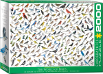 Pusle Eurographics The World of Birds 8220-0821, 96.8 cm x 67.6 cm, 2000 tk, mitmev&auml;rviline