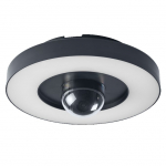 &Otilde;ue seinavalgusti Osram Smart+ WIFI, 22W, LED, IP44, tumehall v., 28 cm x 11.2 cm