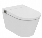 WC-pott, seinapealne Ideal Standard, kaanega, 412 mm x 610 mm