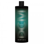 &Scaron;ampoon Diapason Dry & Brittle, 1000 ml