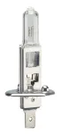 Autopirn Bottari, halogeenlamp, 24 V