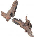 Akvaariumi dekoratsioon Zolux 356030, pruun v., 25 cm