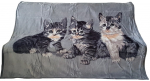Pleed KW-62, hall v., 160 cm x 210 cm