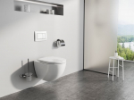 WC-pott, seinapealne Ravak Optima Rimoff, kaanega, 530 mm x 440 mm