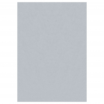 Vaip sise Ayyildiz SKY2002905400SILVER, h&otilde;be v., 290 cm x 200 cm