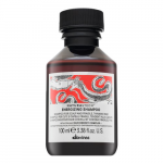 &Scaron;ampoon Davines NaturalTech Energizing, 100 ml