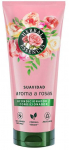 Juukse konditsioneer Herbal Essences Softness Roses, 250 ml