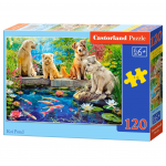 Pusle Castorland Koi Pond 13661, 23 cm x 32 cm, 120 tk, mitmev&auml;rviline