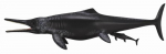 M&auml;ngukujuke Collecta Temnodontosaurus Platyodon 88724, 17.6 cm, must v.