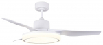 Laeventilaator koos lambiga CristalRecord Aran, 36 W, 1 tk