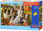 Pusle Castorland Happy Dogs In The Countryside, 23 cm x 32 cm, 260 tk, mitmev&auml;rviline