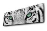 Dekoratsioon Wallity Canvas Painting, 30 cm, 90 cm, valge/must