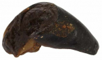 Koeramaius Flamingo Nature Buffalo's Hoof, p&uuml;hvliliha