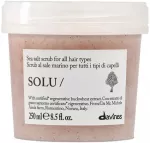 Juuksemask Davines Solu, 250 ml