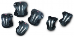 Kaitse Fila Multitech, M