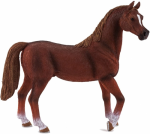 M&auml;ngukujuke Mojo Arabian Stallion Chestnut 387084, pruun v.