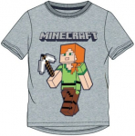 Lisa Minecraft Alex, hall v.