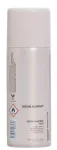 Juukselakk Kevin Murphy Session Spray Flex, 100 ml