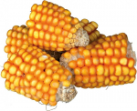 N&auml;riliste maiuspala Trixie Corn Cobs, k&uuml;&uuml;likutele/n&auml;rilistele, 0.3 kg