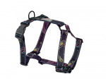 Koerte traksid Amiplay Guard BeSpace, violetne, 650 - 950 mm x 25 mm, XL