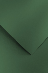 Dekoratiivpaber Galeria Papieru Pearl, A4, 210 g/m&sup2;, roheline, 29.7 cm x 21 cm
