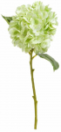 Kunstoks, hortensia Homla Fortens, roheline v., 49 cm