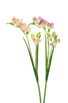 Kunstlill, freesia, &otilde;rnroosa v./lilla v., 59 cm