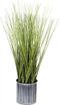 Kunsttaim potis, muru Splendid Onion Grass, roheline v., 45 cm