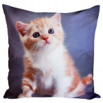 Dekoratiivpadjap&uuml;&uuml;r JCL-753, valge/punane/violetne, 40 cm x 40 cm