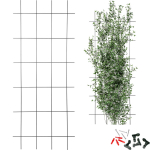 Taimetugi Bioogrod 721422, 60 cm, 150 cm, teras, must v.