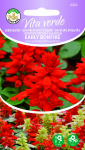 Seemned Vita Verde salveid Early Bonfire Salvia Splendens Sellow Ex Schult.