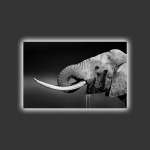 Reproduktsioon Wallity 4570MDACT-015, 45 cm