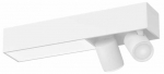 Nutivalgustus kohtvalgusti Philips Hue Centris 2 Spot, GU10, 2000 - 6500 &deg;K, 2 x 6 W