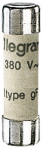 Kaitse Legrand 6A Type gG Cylindrical Cartridge Fuse, 250 V, 6 A