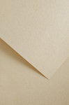 Dekoratiivpaber Galeria Papieru Wood, A4, 220 g/m&sup2;, kreemjasvalge, 29.7 cm x 21 cm