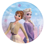 &Uuml;hekordne taldrik GoDan Frozen 2, &Oslash; 23 cm, 8 tk