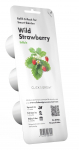 Nutiaia seemned Click & Grow, fragaria, 50 g, 3 tk