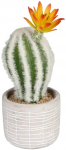 Kunsttaim potis, kaktus Splendid, kollane v./roheline v./hall v., 18 cm x 8 cm
