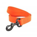 Koera rihm Waudog 5884, oranž v., M