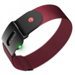 Polar Verity Sense (23-32cm), punane