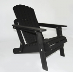 Adirondacki aiatool, must