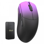 Lamzu Maya Champions Edition, Purple Shadow