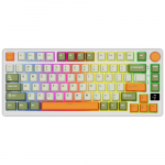 ROYAL KLUDGE M75 Slate Cyan, Cream Switch, US