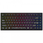 Dark Project ALU81A Terra Nova Black, G3MS Moonstone Switch, RU