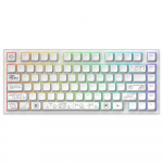Dark Project ALU81A Terra Nova White, G3MS Moonstone Switch, RU